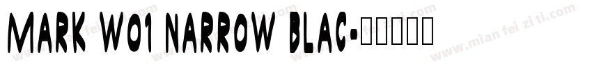 Mark W01 Narrow Blac字体转换